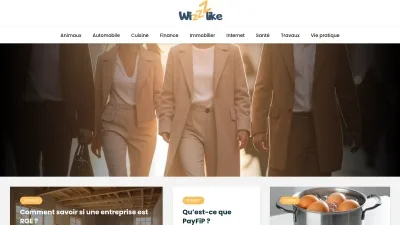 Wizzlike