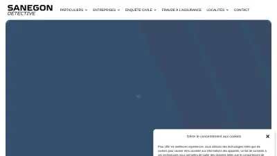 Sanégon Détective