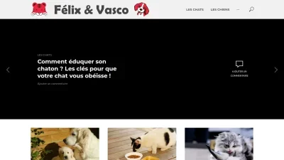Félix & Vasco
