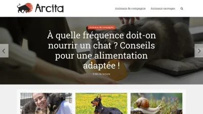 Arcita