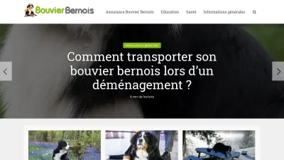 Bouvier-bernois.com