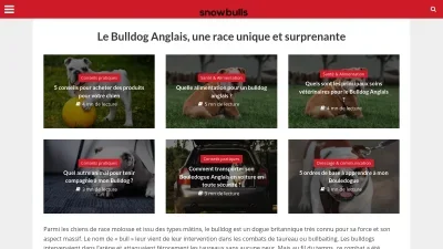 Snowbulls.fr