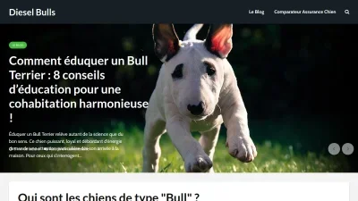 Dieselbulls.com