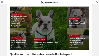 Bouledogue.info