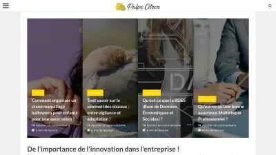 Pulpe-citron.com
