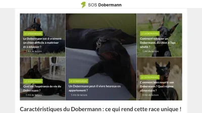 Sosdobermann.com