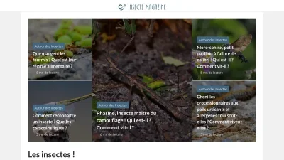 Insecte-magazine.fr
